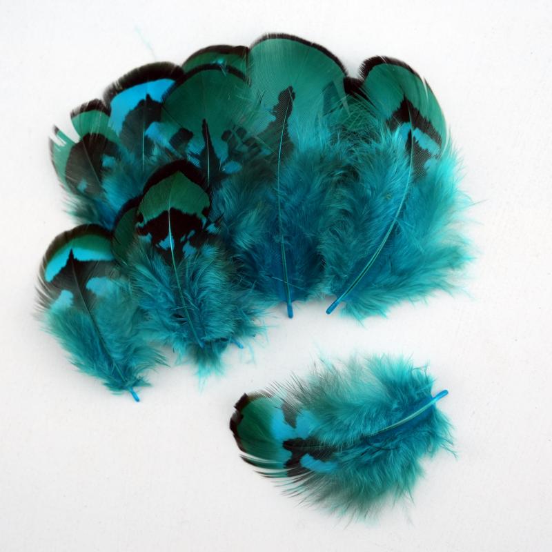 Wedding Supply In Bulk - Plumes de faisan naturelles DIY, teintes