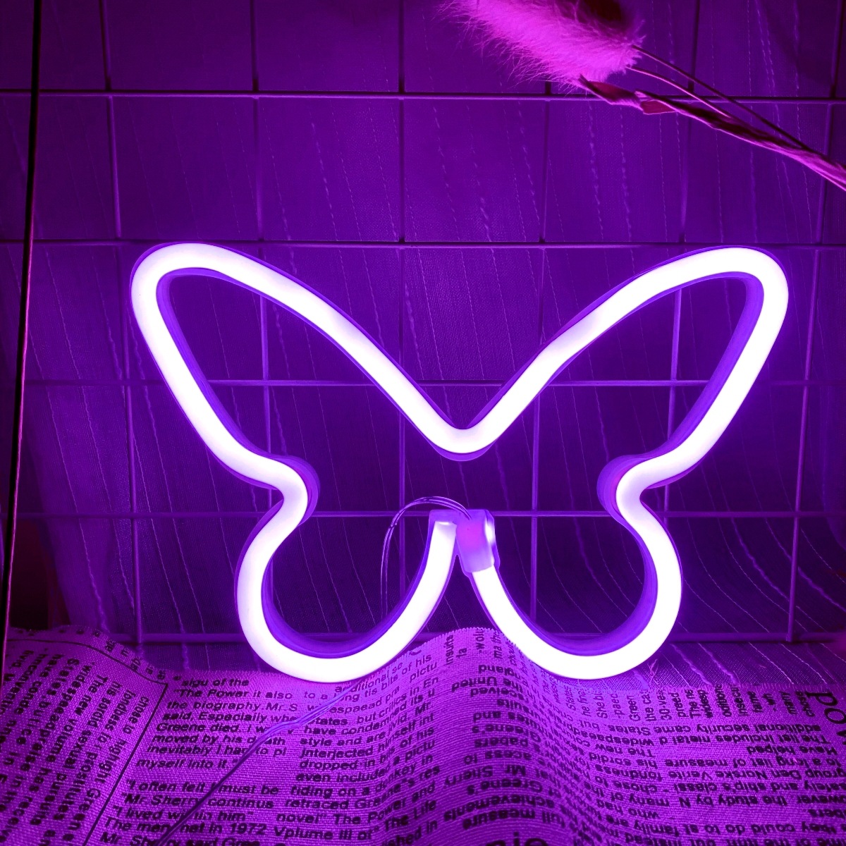 Wedding Power Supply - Feux néon papillon LED, décoration murale
