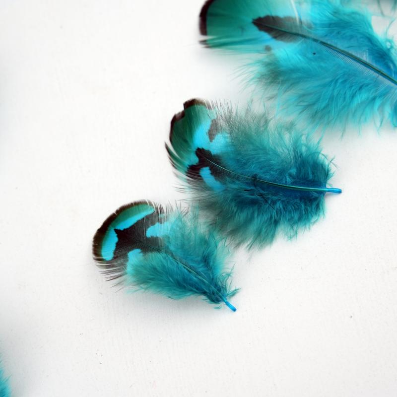 Plumes de faisan naturelles DI - Wedding Supply In Bulk avis et prix