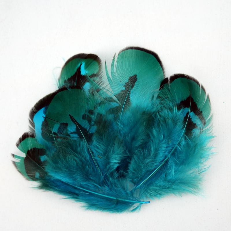 Plumes de faisan naturelles DI - Wedding Supply In Bulk avis et prix