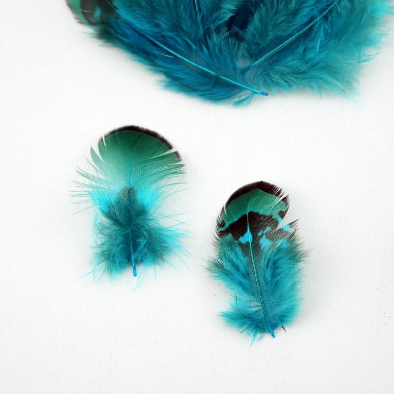 Plumes de faisan naturelles DI - Wedding Supply In Bulk avis et prix