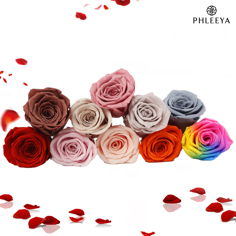 Têtes de roses éternelles, gra - Wedding Supply In Bulk avis et prix